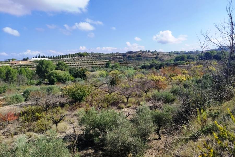 Te koop - Landhuis - Albaida