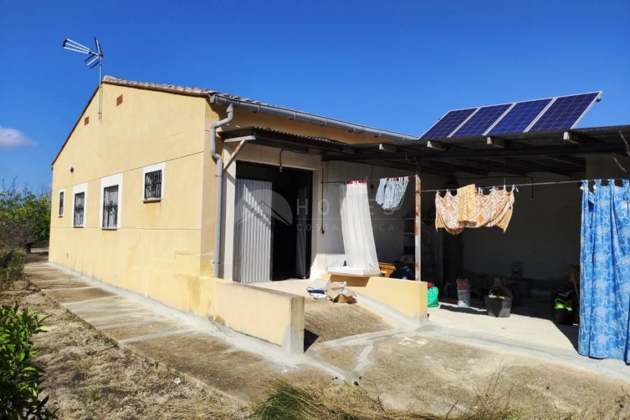 Te koop - Landhuis - Albaida