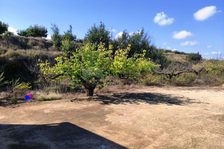 Te koop - Landhuis - Albaida