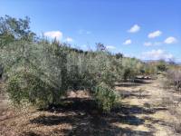 Te koop - Landhuis - Albaida