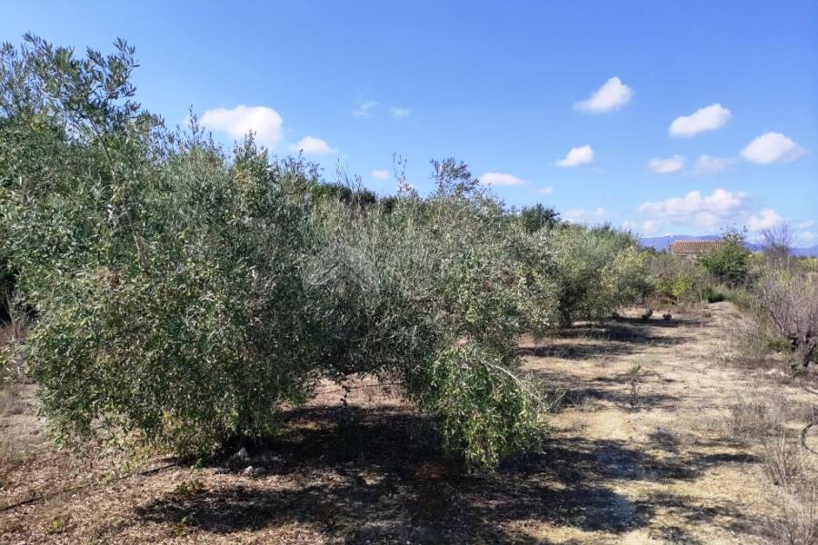 Te koop - Landhuis - Albaida