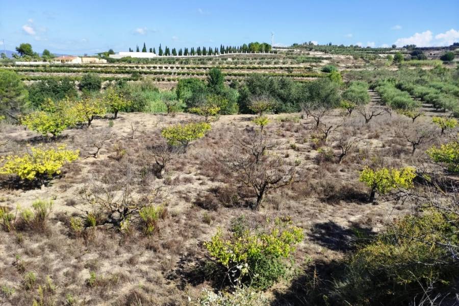 Te koop - Landhuis - Albaida