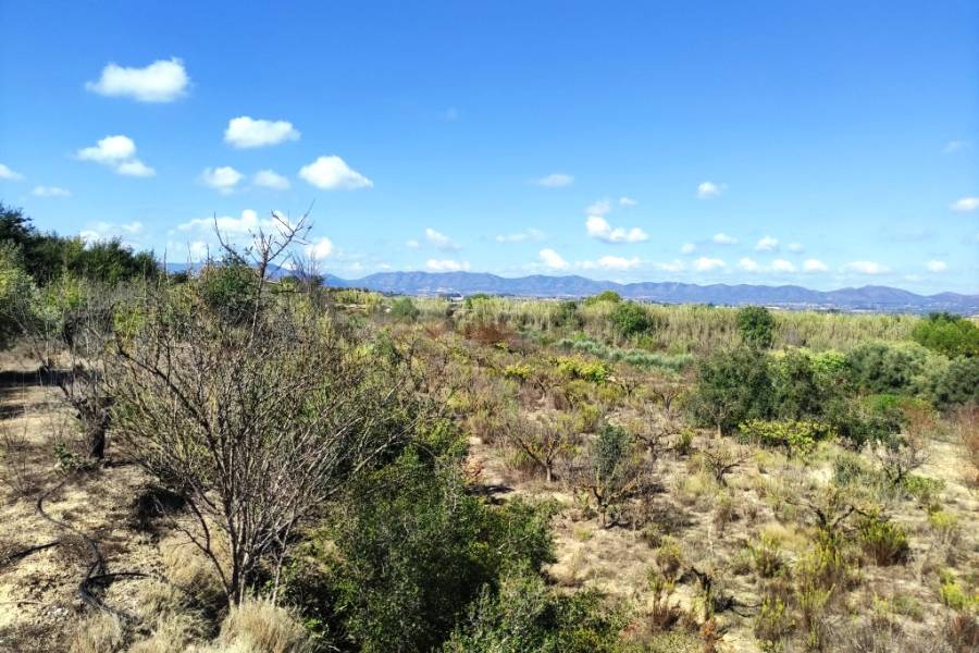 Te koop - Landhuis - Albaida