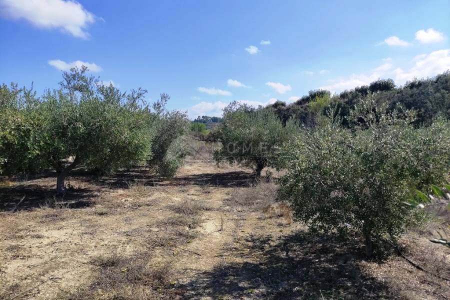 Te koop - Landhuis - Albaida