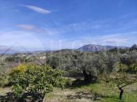 Venta - Casa de Campo - Benifallim