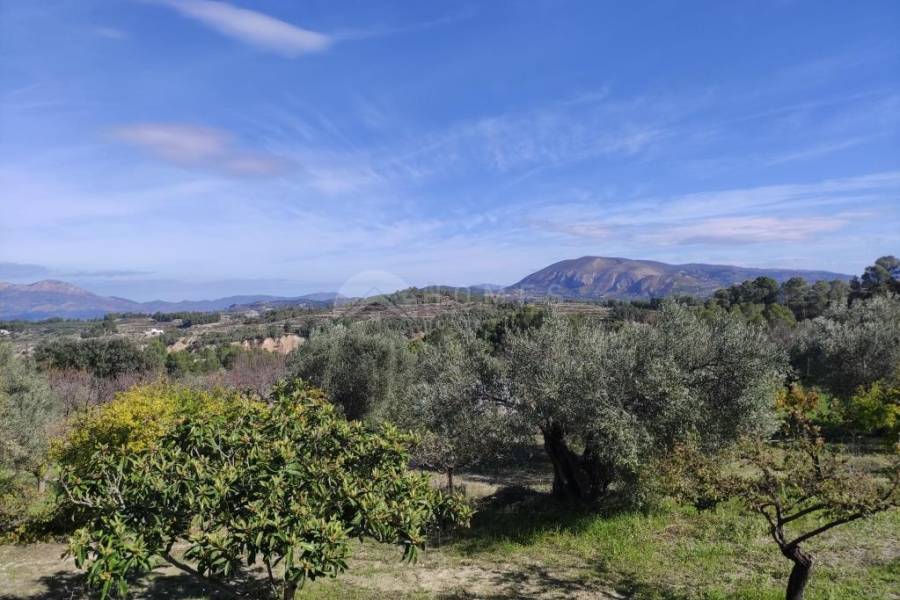 Venta - Casa de Campo - Benifallim