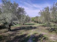Venta - Casa de Campo - Benifallim