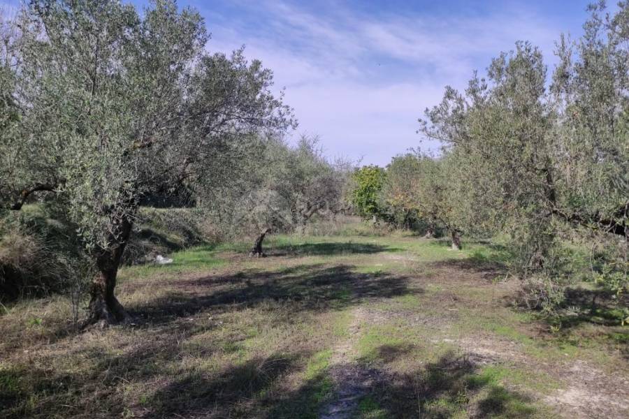 Venta - Casa de Campo - Benifallim