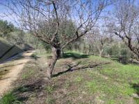 Venta - Casa de Campo - Benifallim