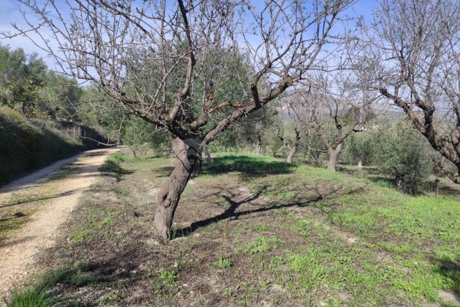 Venta - Casa de Campo - Benifallim