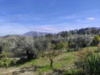 Venta - Casa de Campo - Benifallim