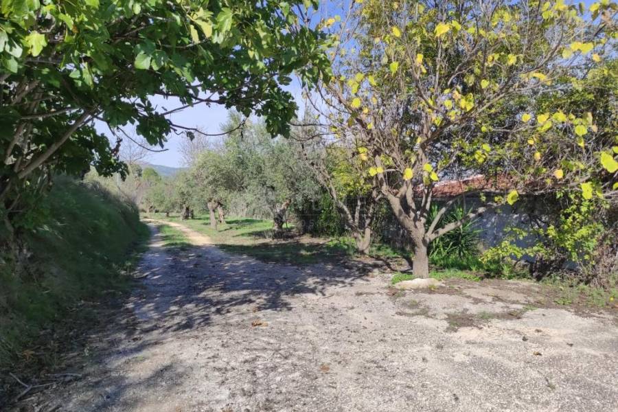 Venta - Casa de Campo - Benifallim