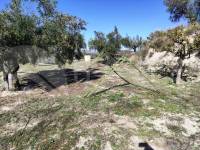 Te koop - Landhuis - Benilloba