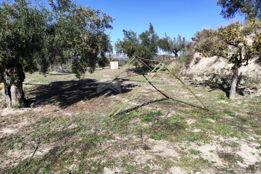 Te koop - Landhuis - Benilloba