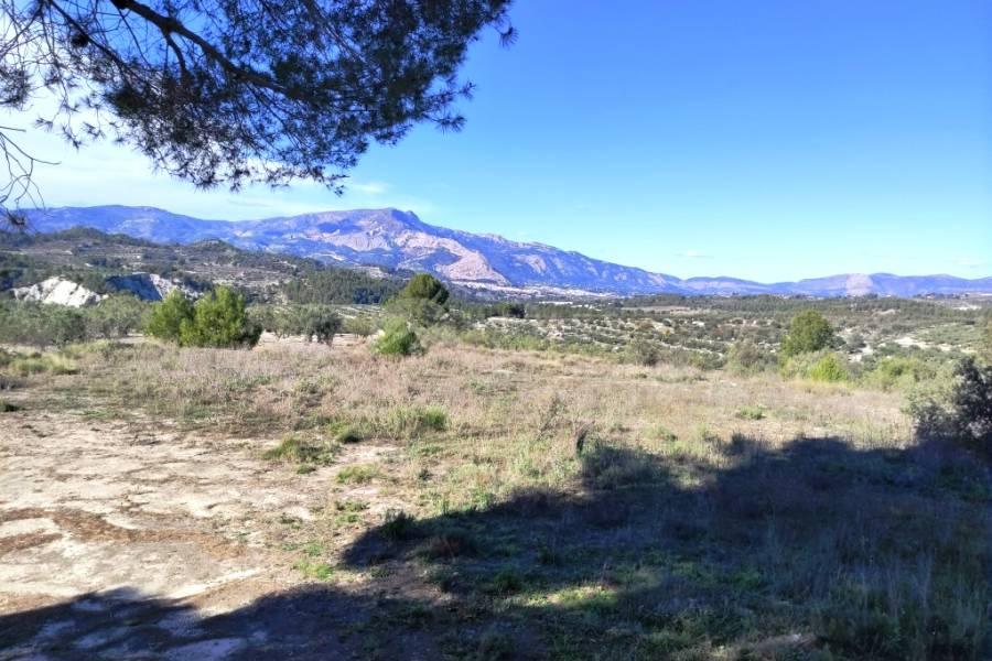 Te koop - Landhuis - Benilloba