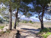 Te koop - Landhuis - Benilloba