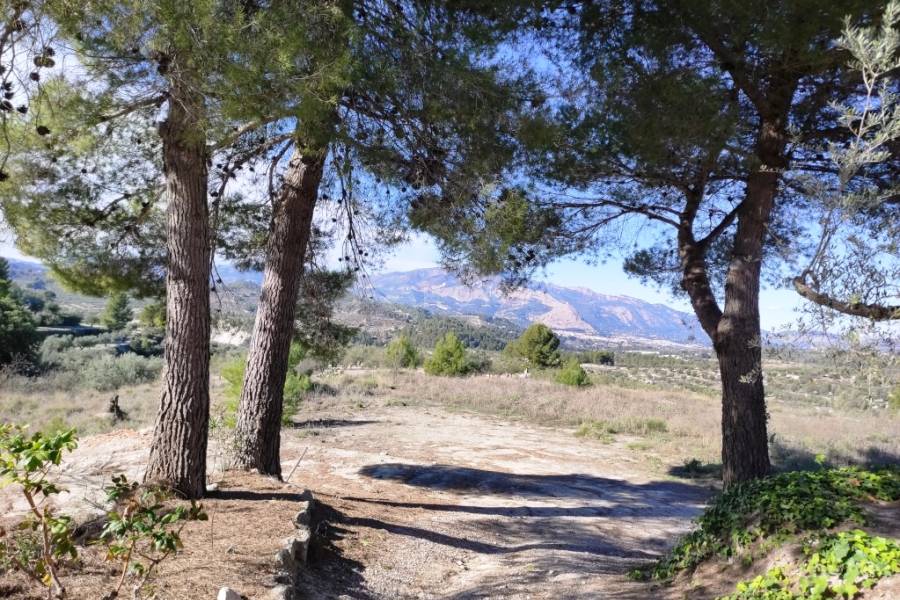 Te koop - Landhuis - Benilloba