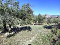 Te koop - Landhuis - Benilloba