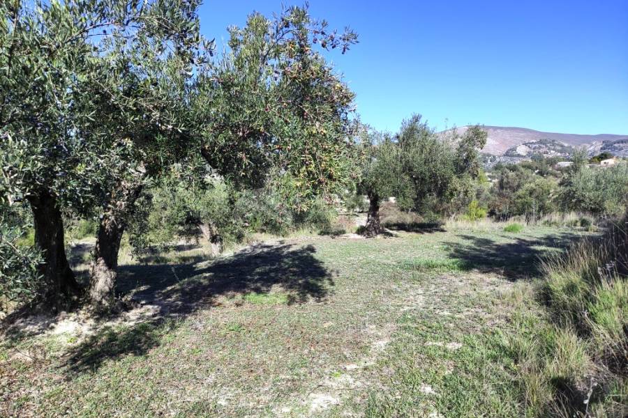 Te koop - Landhuis - Benilloba