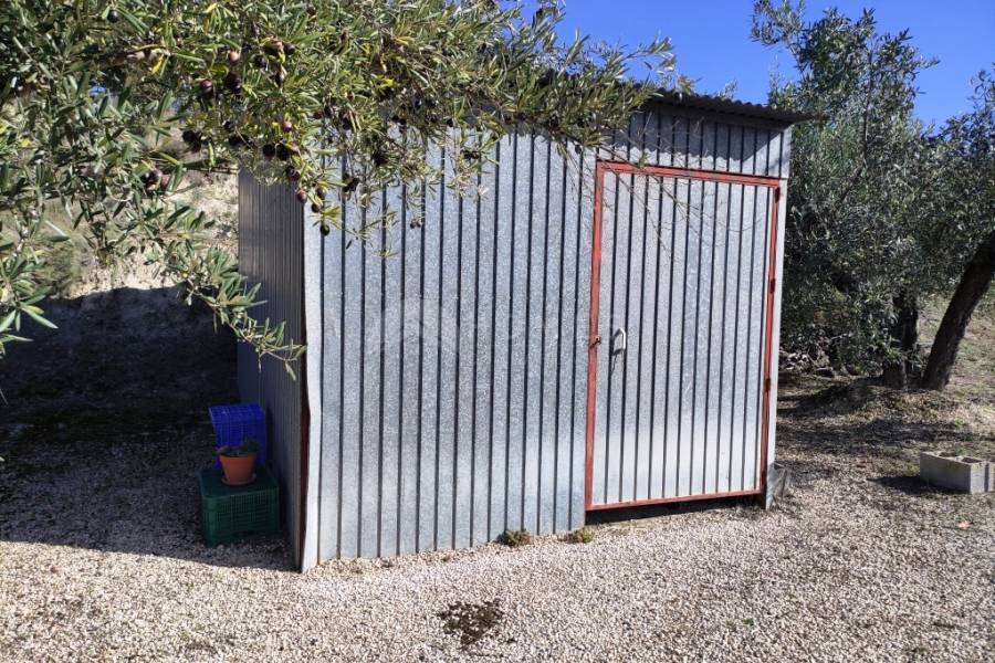 Te koop - Landhuis - Benilloba