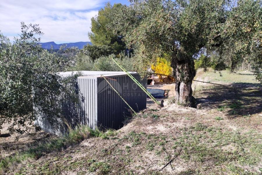 Te koop - Landhuis - Benilloba