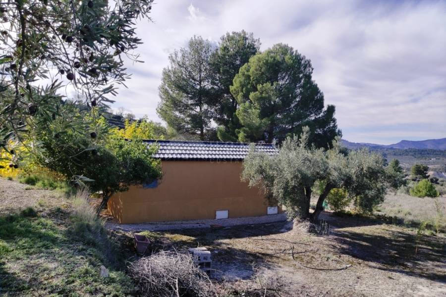 Te koop - Landhuis - Benilloba