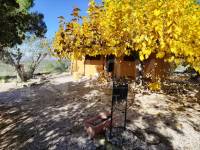 Te koop - Landhuis - Benilloba