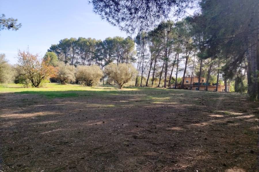 Venta - Casa de Campo - Muro de Alcoy