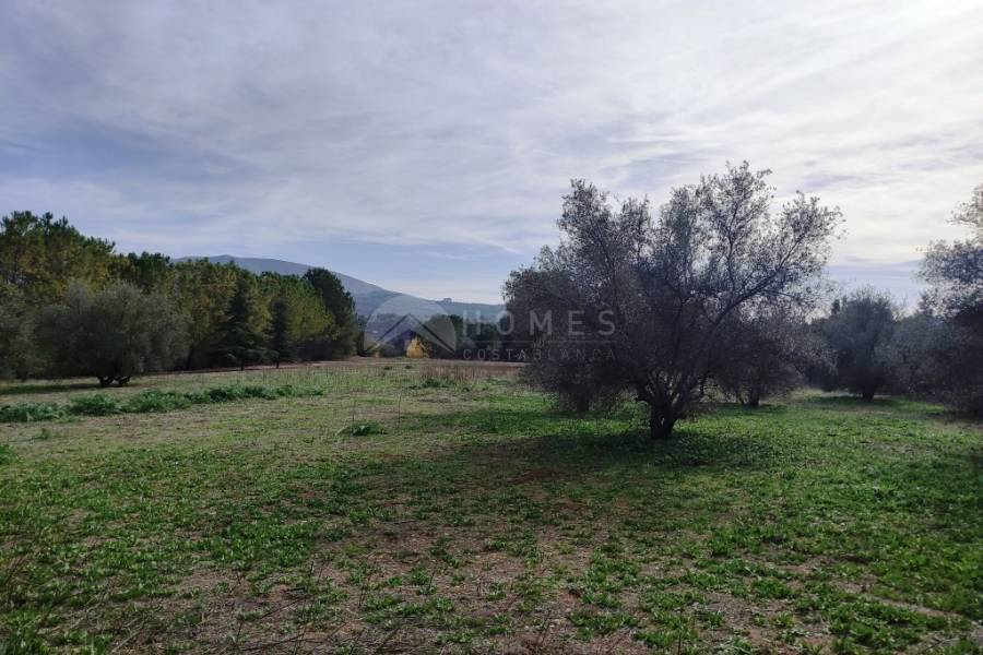 Venta - Casa de Campo - Muro de Alcoy