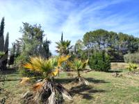 Venta - Casa de Campo - Muro de Alcoy