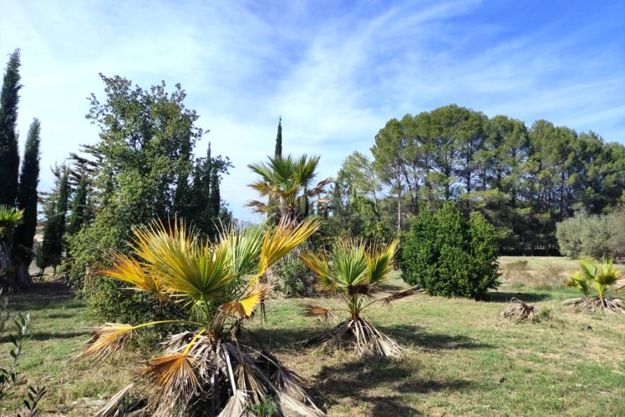 Venta - Casa de Campo - Muro de Alcoy
