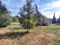 Venta - Casa de Campo - Muro de Alcoy