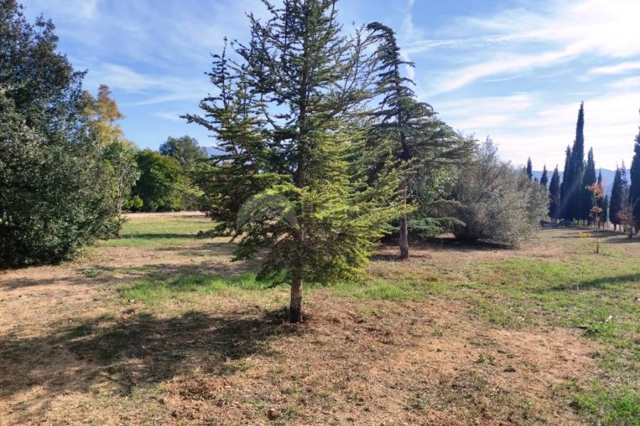 Venta - Casa de Campo - Muro de Alcoy