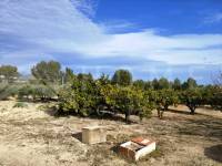 Venta - Casa de Campo - Ontinyent