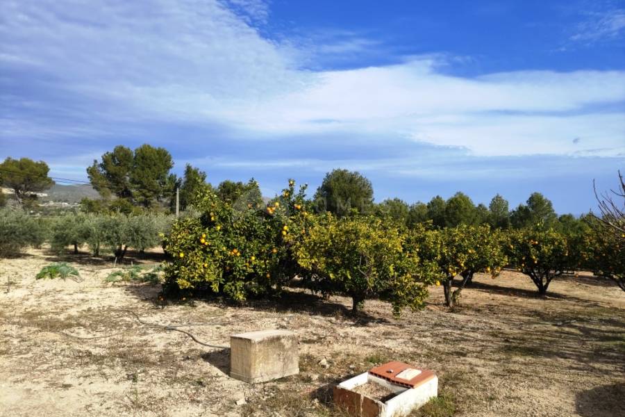 Venta - Casa de Campo - Ontinyent