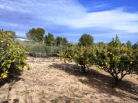 Venta - Casa de Campo - Ontinyent