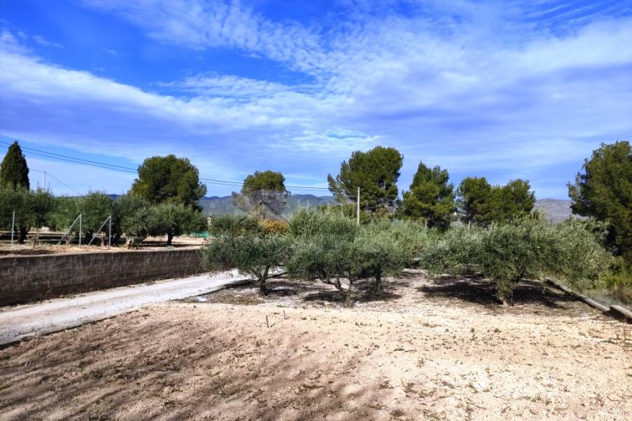 Venta - Casa de Campo - Ontinyent