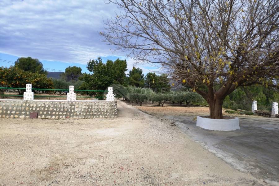 Venta - Casa de Campo - Ontinyent