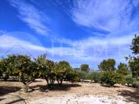 Venta - Casa de Campo - Ontinyent