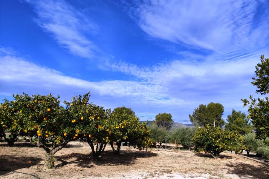 Venta - Casa de Campo - Ontinyent