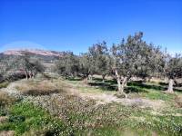 For sale - Country House - Benifallim