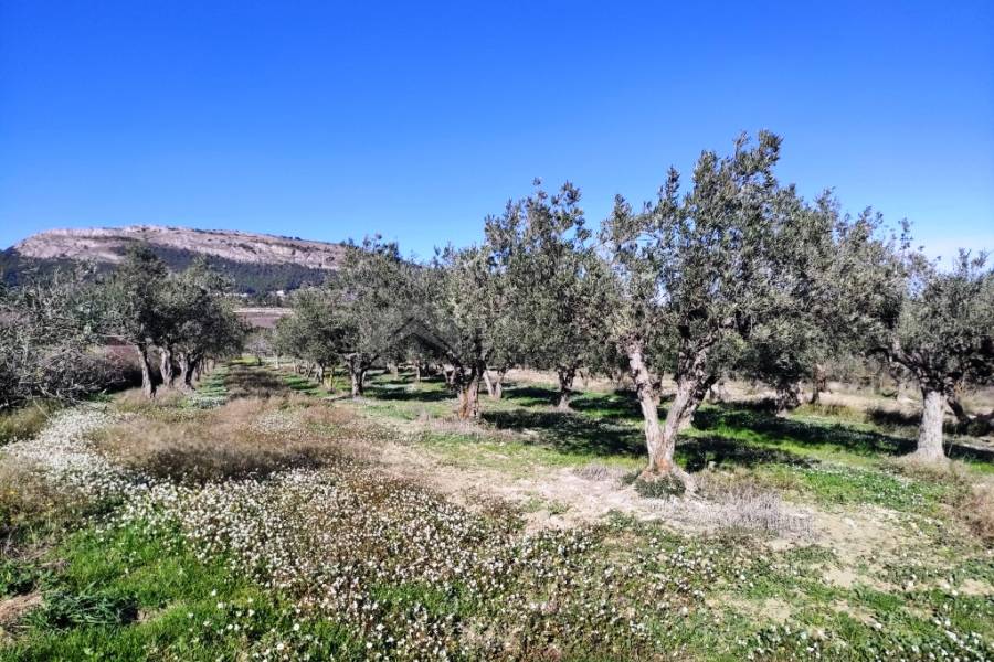 For sale - Country House - Benifallim