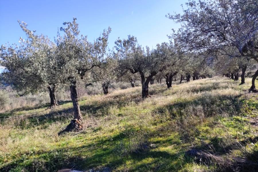 For sale - Country House - Benifallim