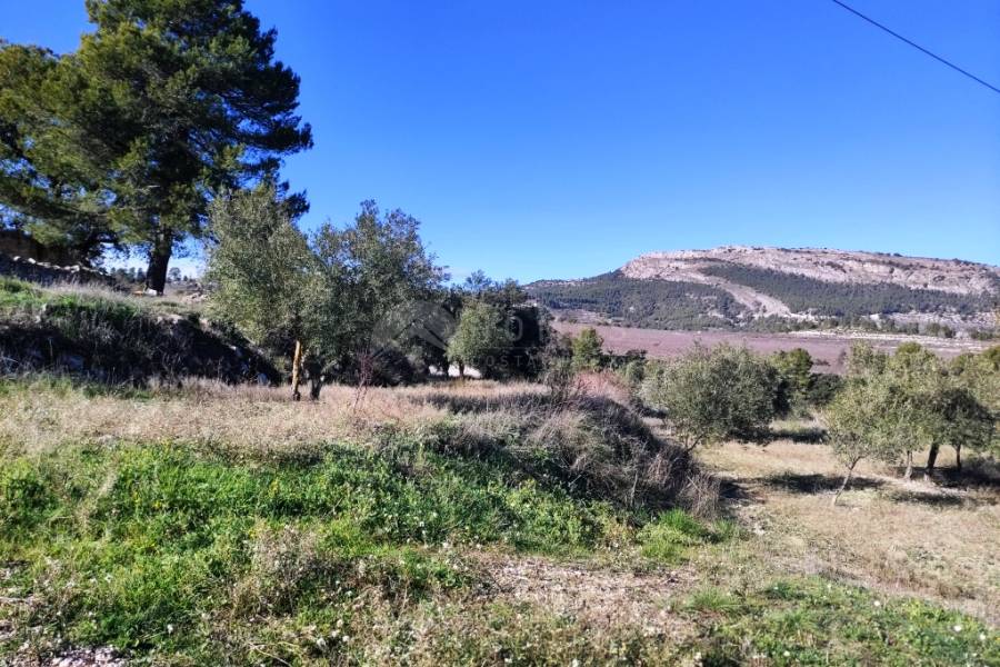 For sale - Country House - Benifallim