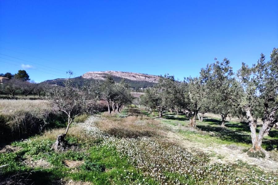 For sale - Country House - Benifallim