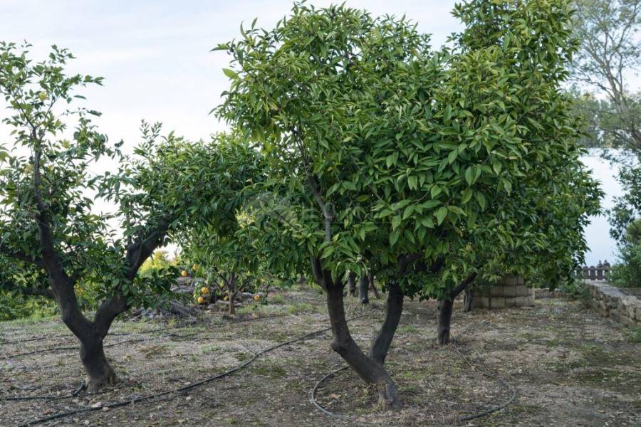 For sale - Country House - Pego