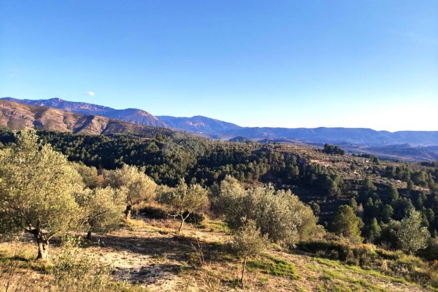 Venta - Casa de Campo - Millena