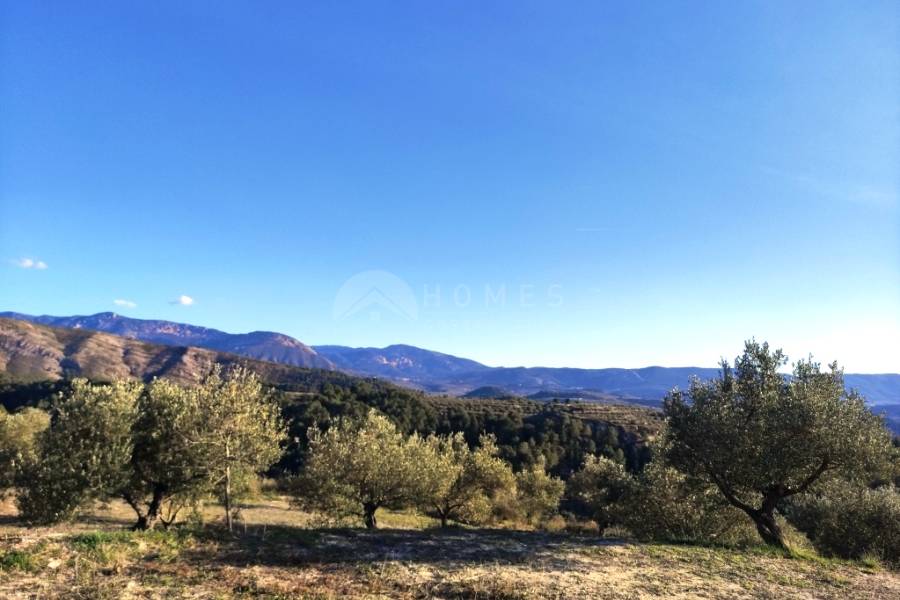 Venta - Casa de Campo - Millena