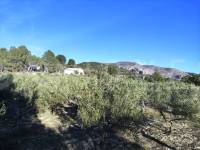 Venta - Casa de Campo - Millena