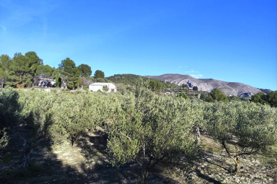 Venta - Casa de Campo - Millena